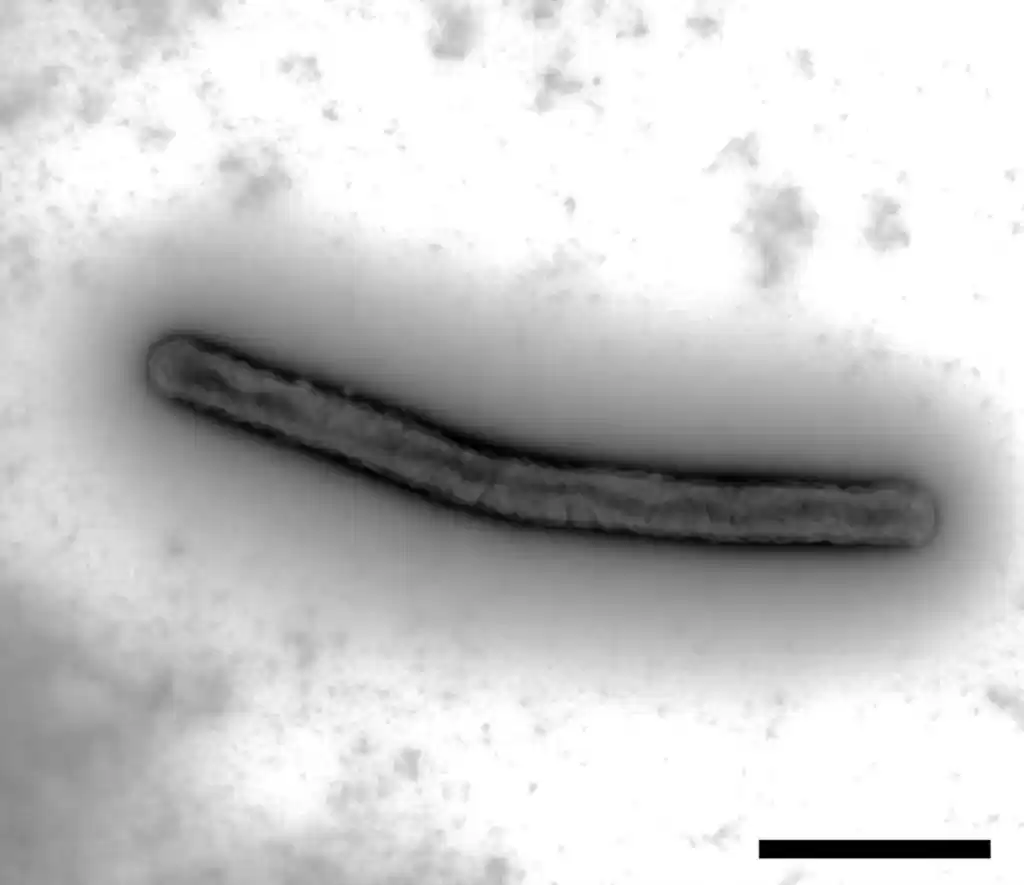  - innovaTopia - （イノベトピア）